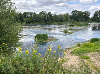 Tour Wandern Amboise - Petite balade sur l'Ile d'Or à Amboise - Photo