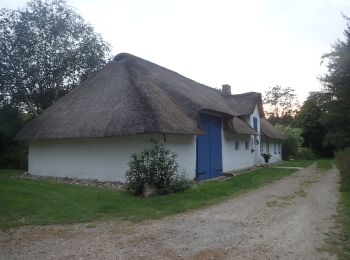 Tour Zu Fuß Leck - Historischer Westlicher Ochsenweg und Langenberger Forst - Photo