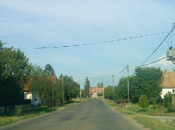 Trail On foot Diósviszló - K+ Diósviszló autóbusz-megálló – Hegyszentmárton üdülőfalu, Sárga sáv - Photo