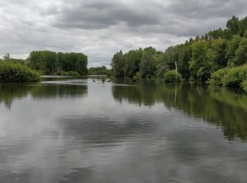 Excursión Senderismo Fretin - les marais de la haute Marque - Photo