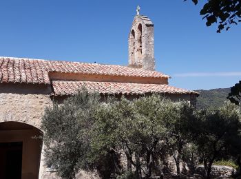 Tocht Stappen Suzette - Crête de Saint Amand Pas du Loup - Photo