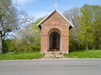 Randonnée A pied Miltenberg - Rundwanderweg Miltenberg Sebaldsruhe 2: Haags-Aussichts-Weg - Photo