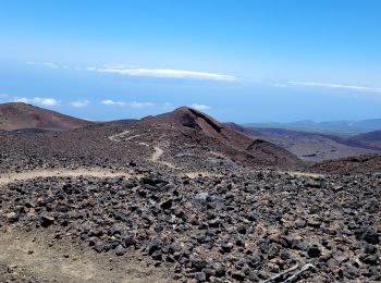 Randonnée Marche Guía de Isora - Pico Viero Sur - Photo