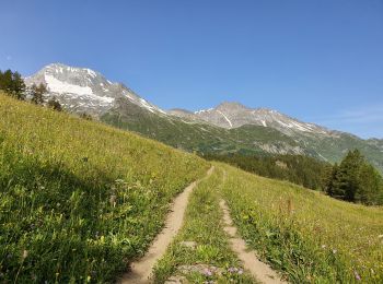 Excursión Senderismo Sainte-Foy-Tarentaise - Chenal Monal Clou Fenil (boucle) - Photo