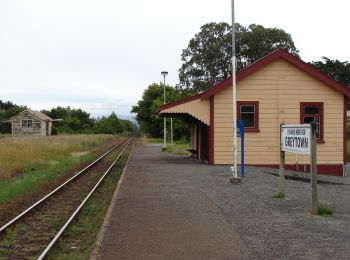 Tocht Te voet Greytown Community - Greytown Woodside Shared Trail - Photo