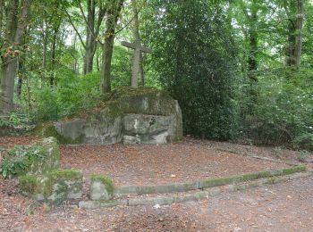 Percorso A piedi Buggenhout - Boskapel en omgeving - Photo