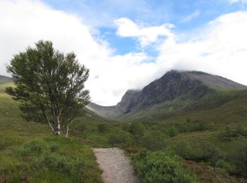 Excursión A pie  - Carn Mor Dearg arete - Photo