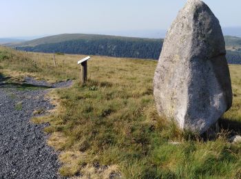 Tocht Mountainbike La Chambonie - col de La Loge au col de beal pierre haute - Photo