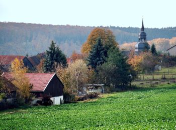 Percorso A piedi Südharz - Wanderweg von Dietersdorf in's Haseltal - Photo