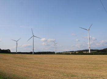 Percorso A piedi Thurnau - Tannfeld Kinder-Naturbegegungsweg - Photo