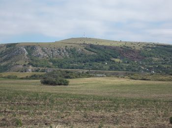 Tour Zu Fuß Ißzimmer - K+ (Kisházi-Páskom (Burok-part) - Baglyas-hegy) - Photo