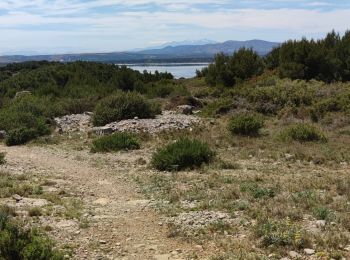 Trail Mountain bike Gruissan - Gruissan - St Martin - Photo