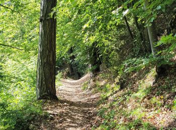 Tocht Stappen Annecy - 260523 Monr Veyrier - Photo