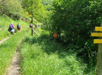 Trail Walking Bédouès-Cocurès - Stevenson Bédouès - Cassagnas - Photo