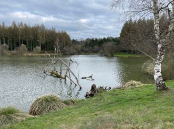 Randonnée V.T.T. Feytiat - De Puy Marot à Gd Quartier et retour par les Biards - Photo