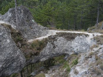 Excursión A pie Gemeinde Pernitz - Gemeindewanderweg - Photo