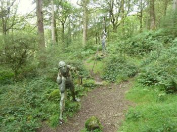 Percorso A piedi South Lakeland - Bogle Crag Trail (long) - Photo