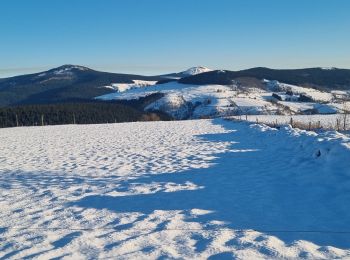 Percorso Racchette da neve Les Estables - les estables sortie 5 - Photo