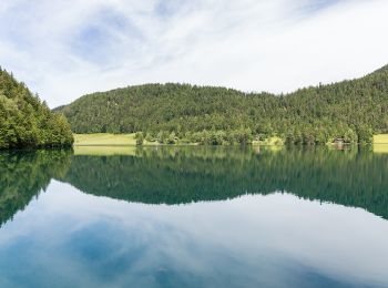 Tour Zu Fuß Gemeinde Scheffau am Wilden Kaiser - Hintersteinersee Runde - Photo