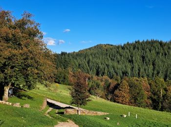 Excursión Senderismo Malons-et-Elze - Serre de Barre au départ de Malons  - Photo