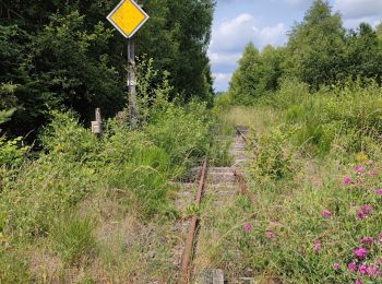 Percorso Marcia Monestier-Merlines - 230629 Eygurande - VVF-MoulinBorie - Photo