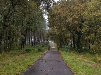 Randonnée Marche Labouheyre - Labouheyre Aureilhan  - Photo