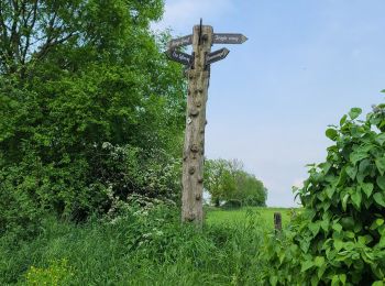 Tocht Stappen Voeren - mouland - Photo