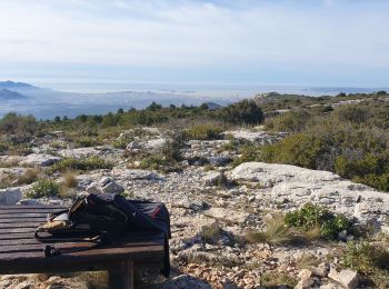 Randonnée Vélo électrique Marseille - Garlaban VTT ÉLECTRIQUE 12 DÉCEMBRE 2022 - Photo