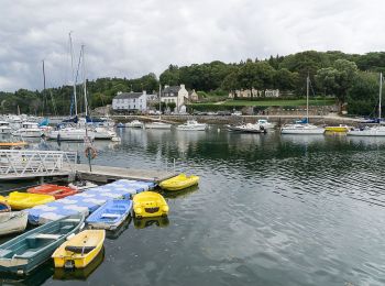 Excursión Senderismo Pont-Aven - De Pont-Aven au port de Kerdruc - Photo