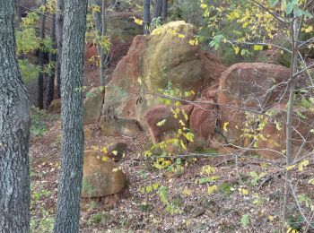 Trail Walking Roussillon - Roussillon  - Photo