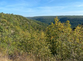 Tour Wandern Étaules - Etaule - Photo