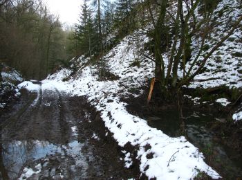 Tocht Stappen Comblain-au-Pont - RB-Lg-11 - Sur les crêtes de l’Amblève - Photo
