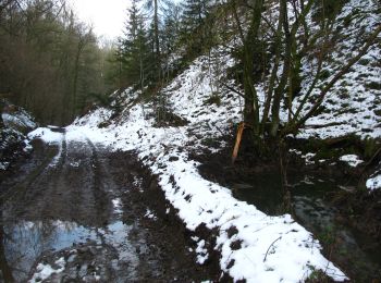 Excursión Senderismo Comblain-au-Pont - RB-Lg-11 - Sur les crêtes de l’Amblève - Photo