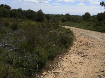 Excursión Senderismo Montagnac - Montagnac balade vigneronnr - Photo