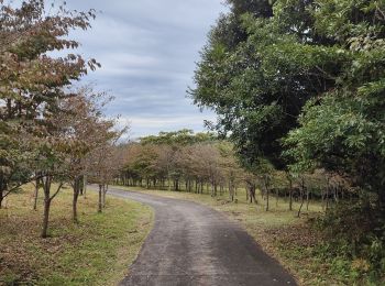 Trail Walking  - Randonnée Iseungi Oreum  - Photo