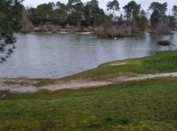 Excursión Senderismo Léognan - lac bleu - Photo