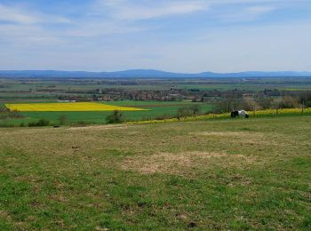 Randonnée Marche Mazerier - Les collines de Mazerier  - Photo