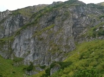 Percorso A piedi Kościelisko - Gronik - Kondracka Kopa - Photo