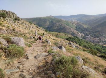 Tour Wandern Pont de Montvert - Sud Mont Lozère - Bédouès  - Photo