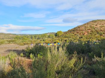 Trail Walking Vitrolles - collet rouge  - Photo