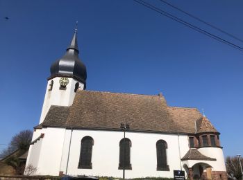 Randonnée Marche Sessenheim - 2022-03-27-Sessenheim-le sentier de Goethe - Photo