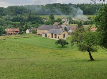 Tour Wandern Gruyères - Gruyère 29-06-21 - Photo