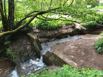 Randonnée Marche Kordel - Ramstein burg 16,5km - Photo