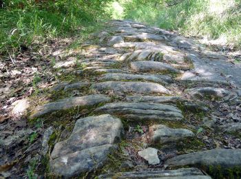 Percorso A piedi Chiusi della Verna - La Via Romea e la Valle dell'Archiano - Photo