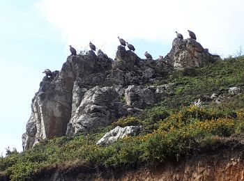 Percorso A piedi Urepel - Urepelbide zaharra / Antiguo Camino Urepel - Photo