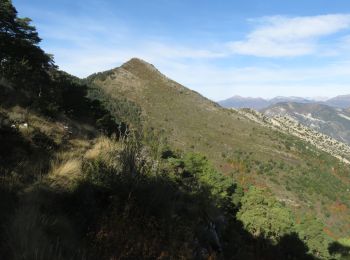 Tocht Stappen Toudon - Mont Brune depuis Toudon - Photo