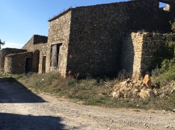 Percorso Marcia Puéchabon - Balcons de l’Herault - Photo