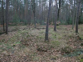 Percorso A piedi Lützelbach - Rundwanderweg Haingrund 1 : Haingrund-Weg - Photo