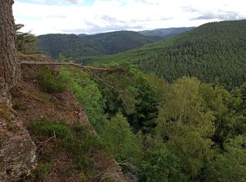 Randonnée V.T.T. Abreschviller - Abreschvillers La Croix Guillaume - Photo