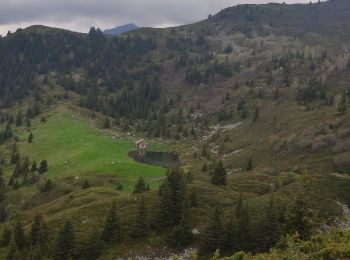 Trail Walking Le Haut-Bréda - 02 juin 2023 glezin - Photo